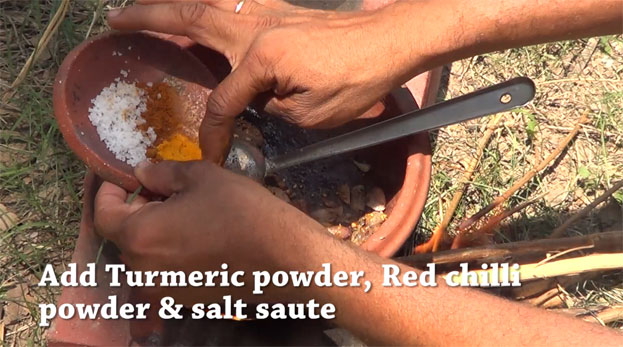 Add turmeric, red chilli powder & salt saute