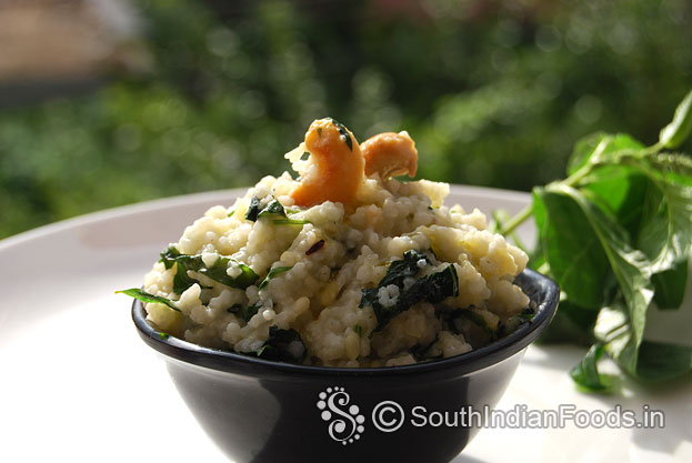 Little millet greens pongal is ready serve hot with coconut chutney
