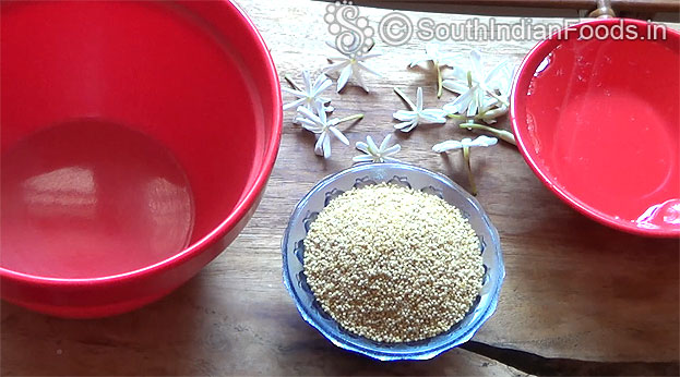 Thinai rice [ foxtail millet ] - 1 cup