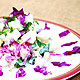 Red cabbage cucumber salad