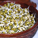 green gram sprouts