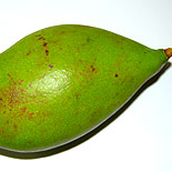 Green mango 