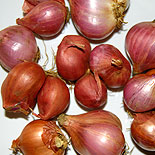 Small onion 