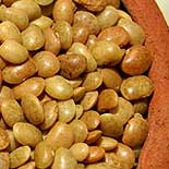 Horse Gram