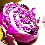 Purple cabbage