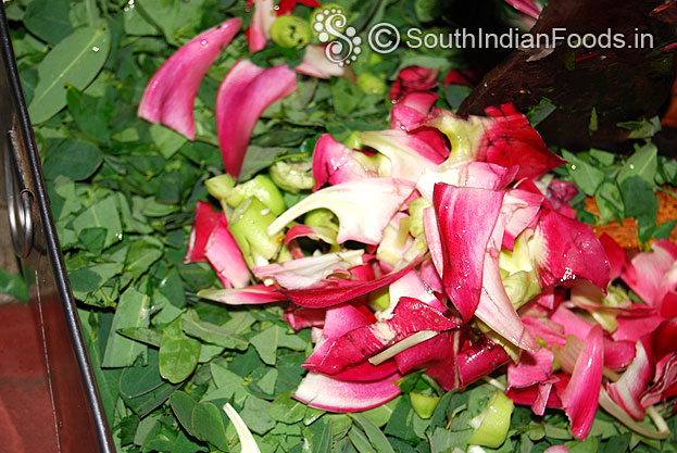 Chop agathi keerai flower