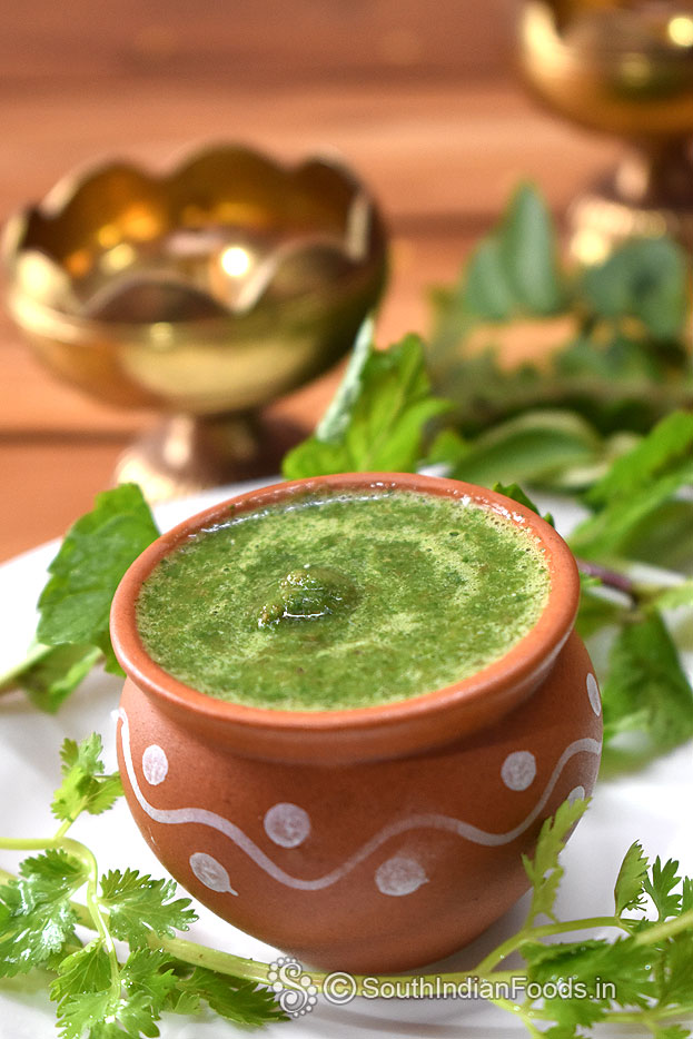 Green chutney[Coriander, mint, green chilli, ginger, lemon juice, salt & sugar]