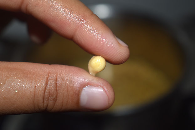 Mini chickpea