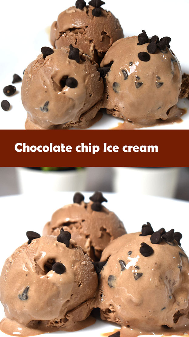 Chocolate chip ice cream