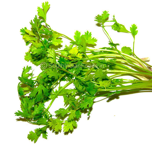 Coriander Leaves