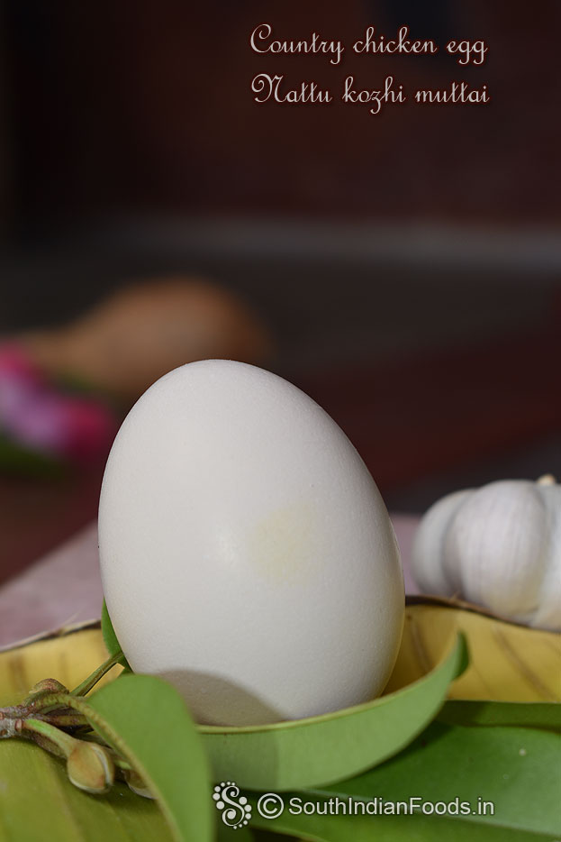 Country chicken egg