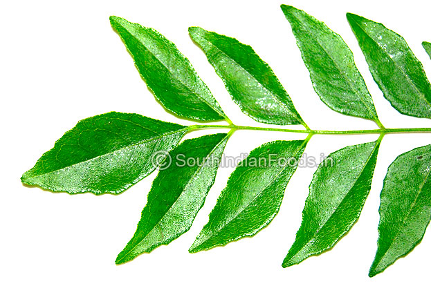 Curry leaves