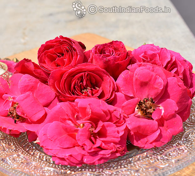 Rose-Pink-Fragrant-Organic