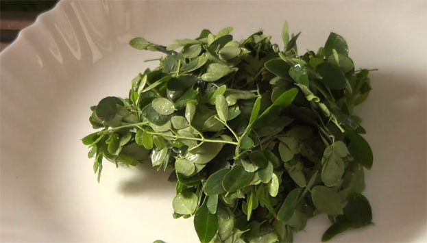 Wash & pluck drumstick leaf