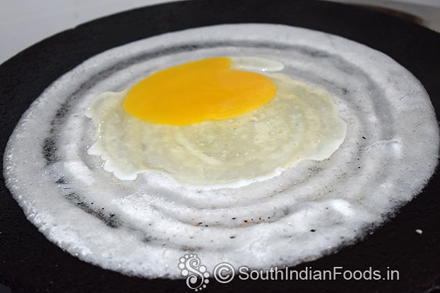 Gently spread over the dosa