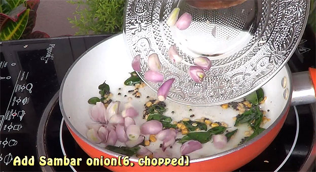 Add onion