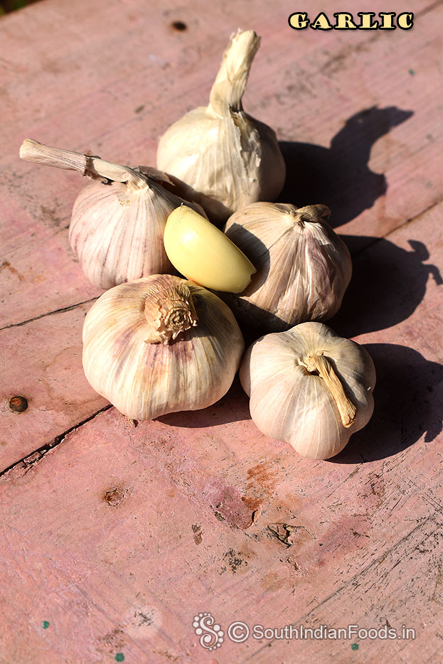 Garlic