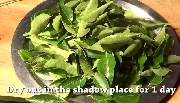 Dryout in the shadow palce for 1 day