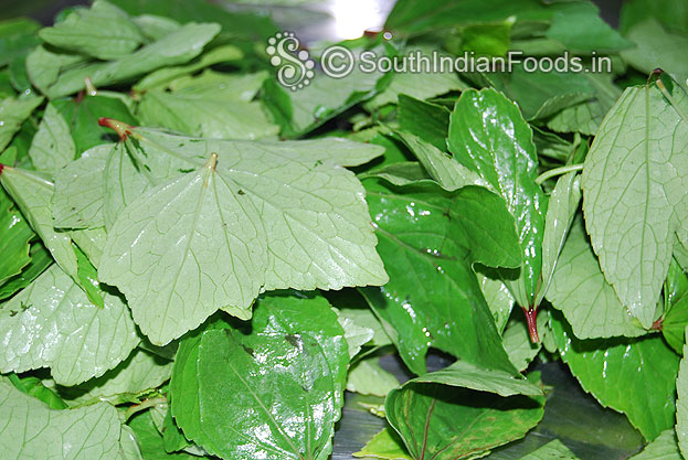 Gongura Leaves[Plucked&Washed]