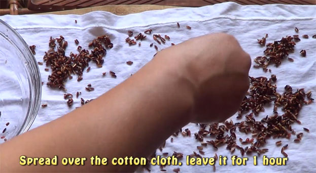 Spread over the cloth, leave it for 1 hour