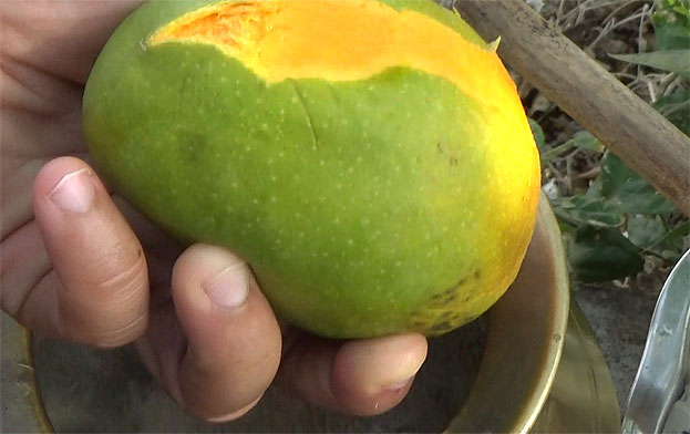 Peel off the skin