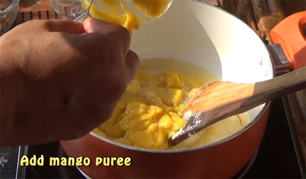 Add ground mango