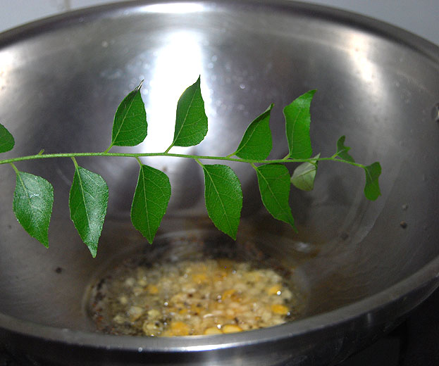 Add curry leaves