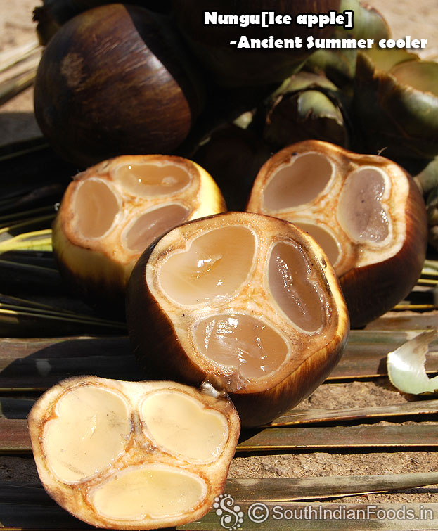 Ice apple-Hindi
