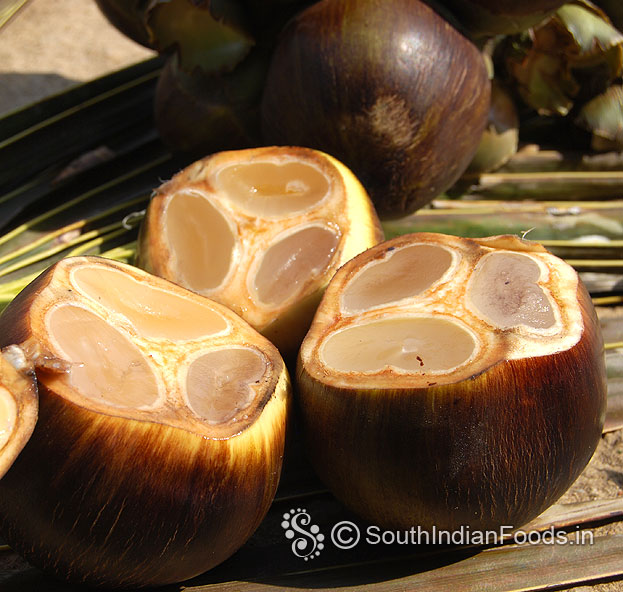 Palmyra palm fruit