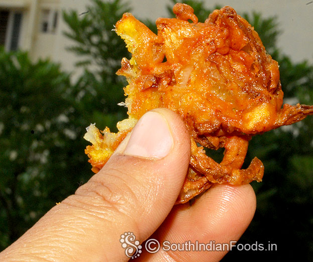 Crispy fried onion circle