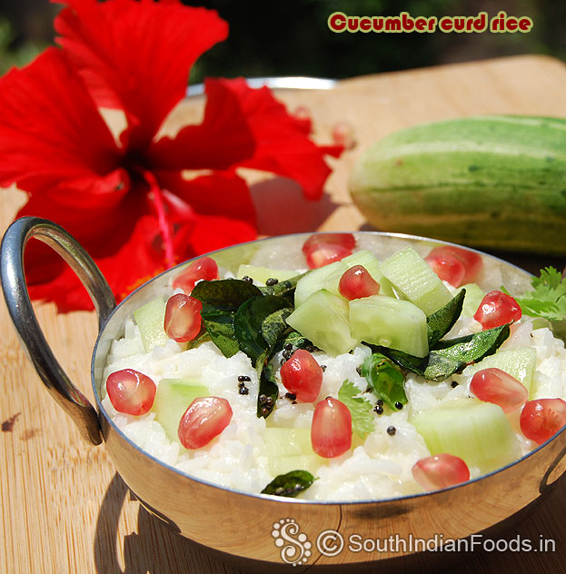 Cucumber curd rice
