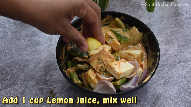 Instant paneer tikka step 16