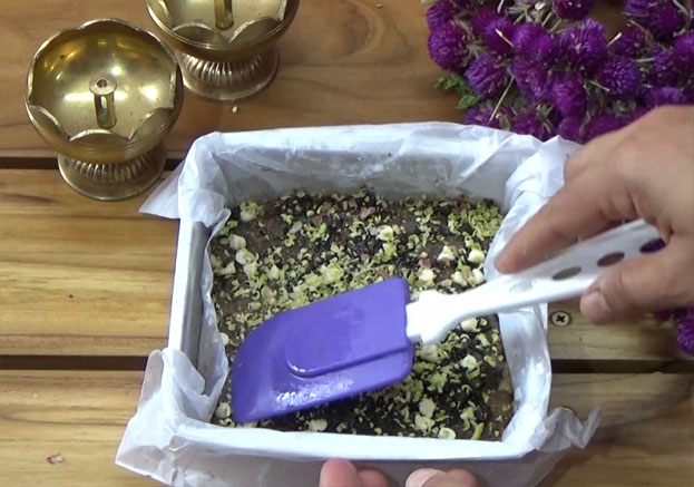 Add grated pista, freeze it 30 min