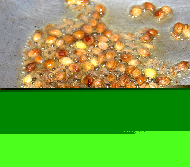 Roast coriander and cumin seeds