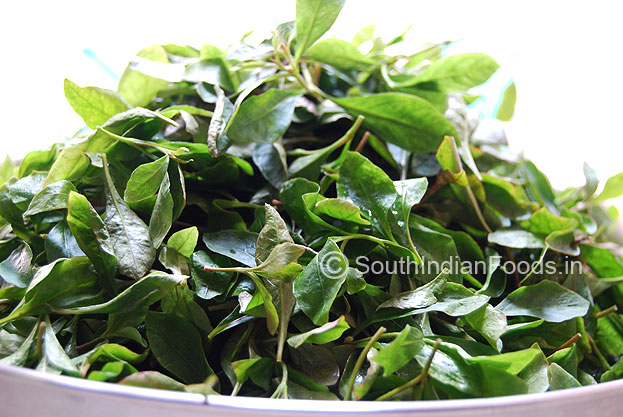 Plucked leaves