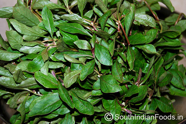 Ponnanganni keerai