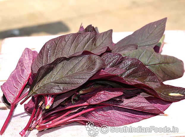 Red amaranth