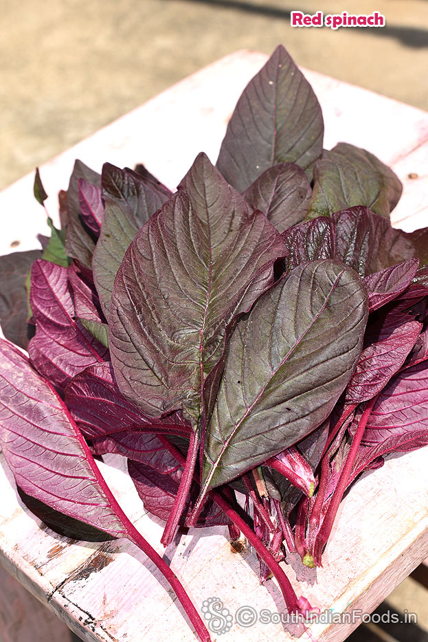 Red spinach