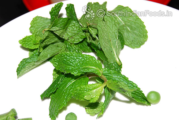 Mint Leaves