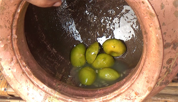 Squeeze lemon juice and lemon 