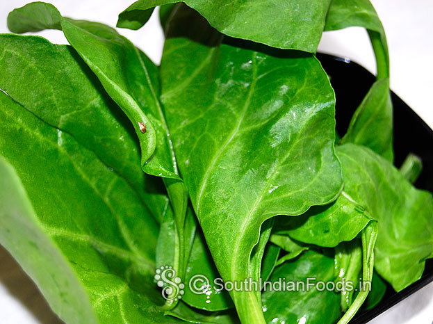 Spinach [Palak]