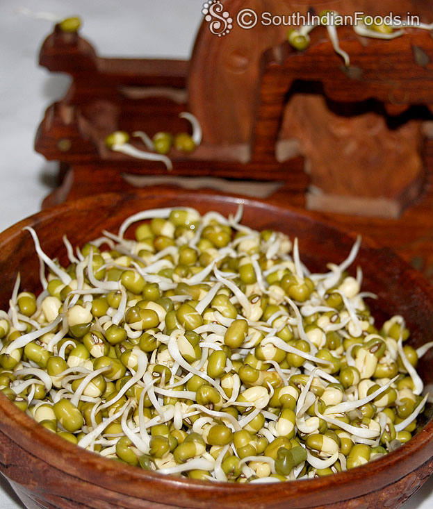 Mung bean sprouts