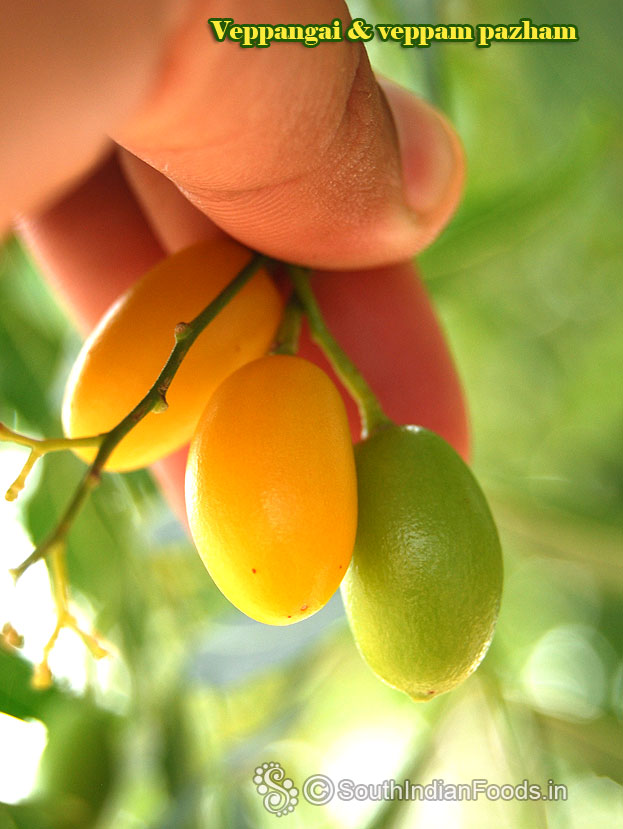 Veppan kaai and veppam pazham