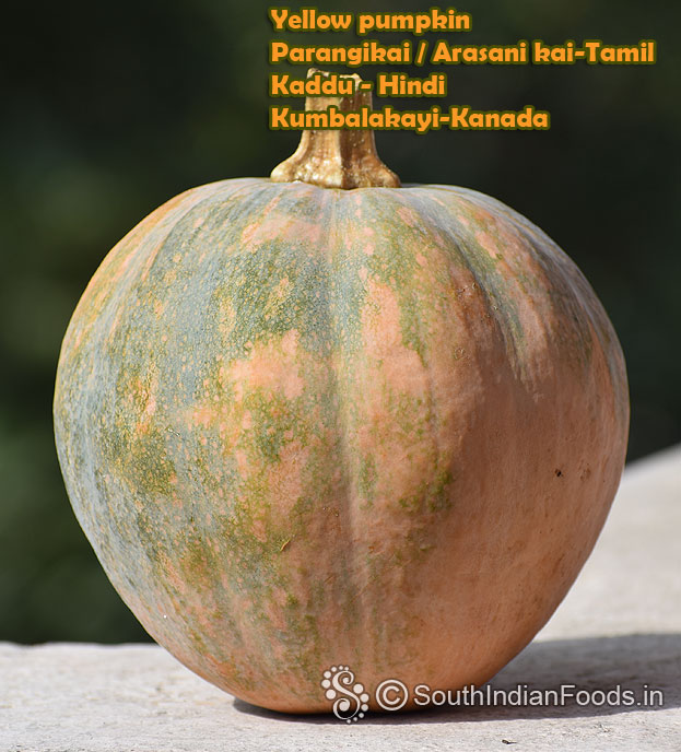 Fresh yellow pumpkin