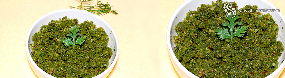 Coriander thogayal