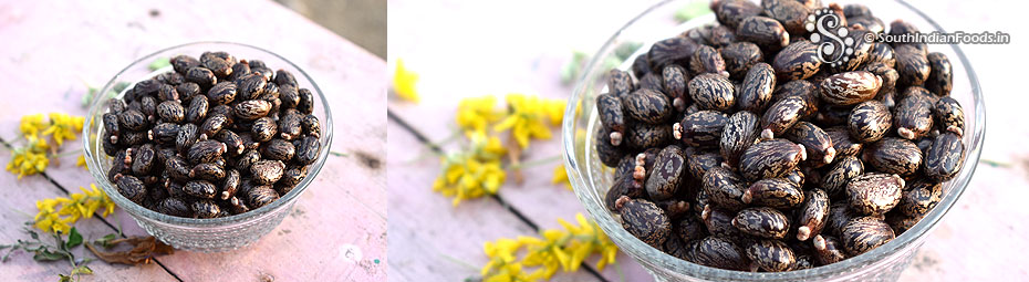 Kottaimuthu | Castor seeds-Benefits