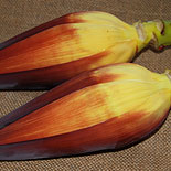 Banana flower 