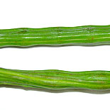 Drumstick 