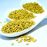 Fenugreek 
