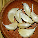 Garlic Clove